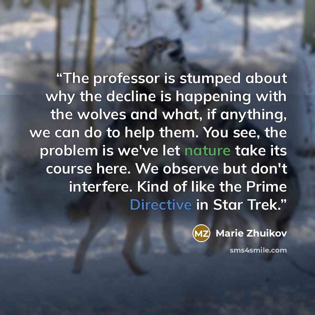 “The professor is stumped about why the decline is happening with the wolves and what, if anything, we can do to help them. You see, the problem is we've let nature take its course here. We observe but don't interfere. Kind of like the Prime Directive in Star Trek.” quote by Marie Zhuikov