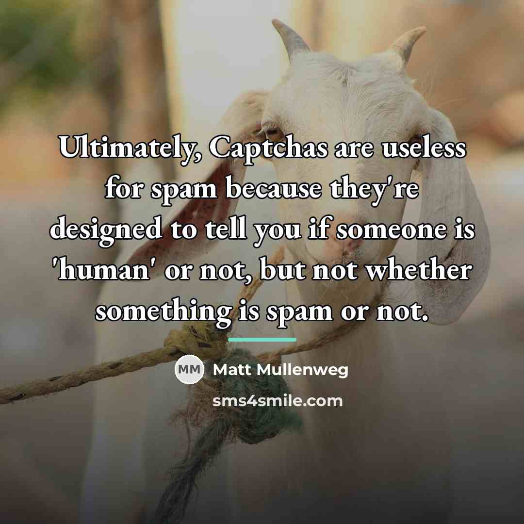 “Ultimately, Captchas are useless for spam because they're designed to…” quote by Matt Mullenweg