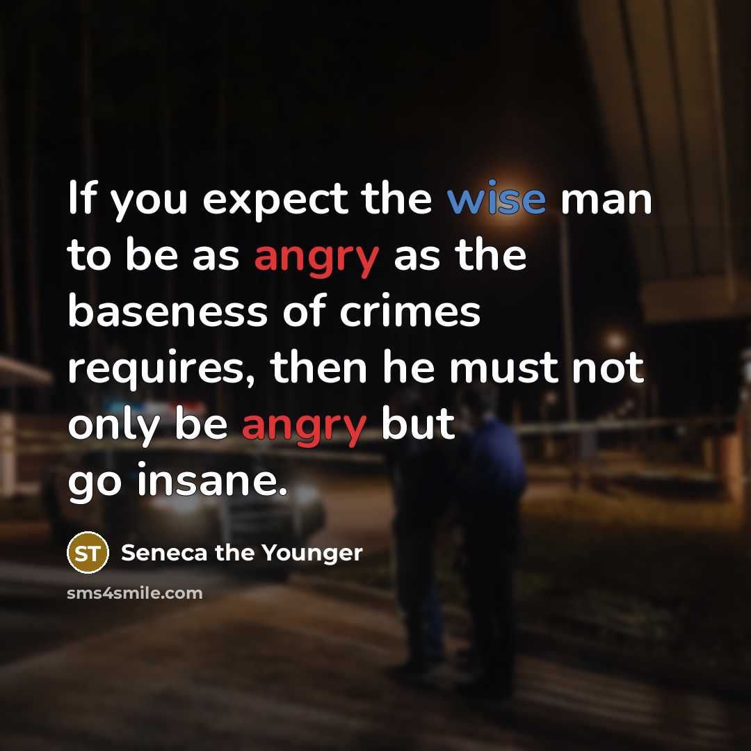 “If you expect the wise man to be as angry…” quote by Seneca the Younger