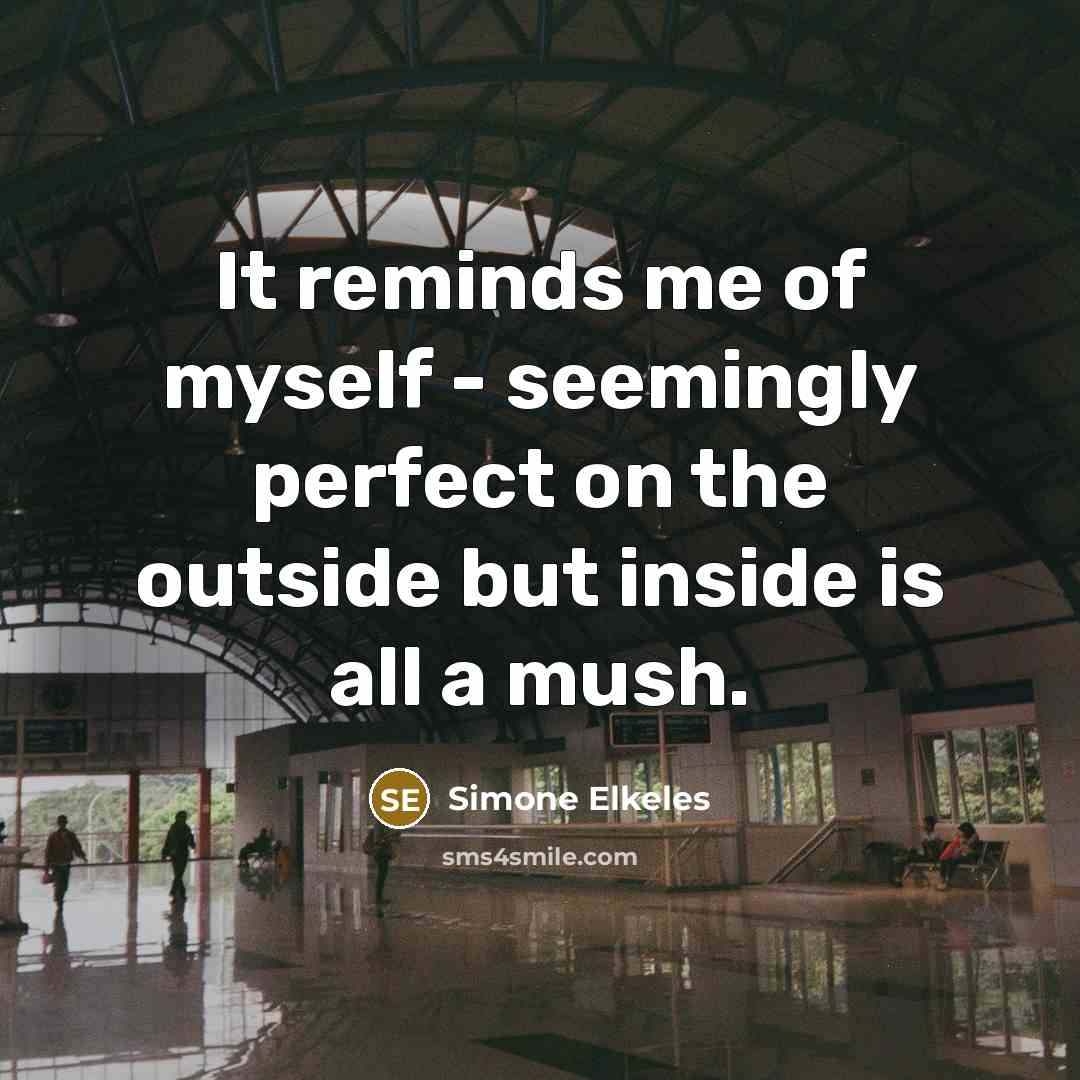 “It reminds me of myself - seemingly perfect on the outside but inside is all a mush.” quote by Simone Elkeles