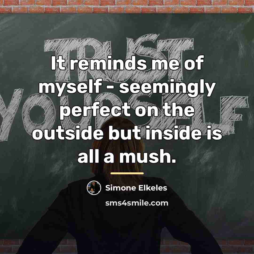 “It reminds me of myself - seemingly perfect on the…” quote by Simone Elkeles