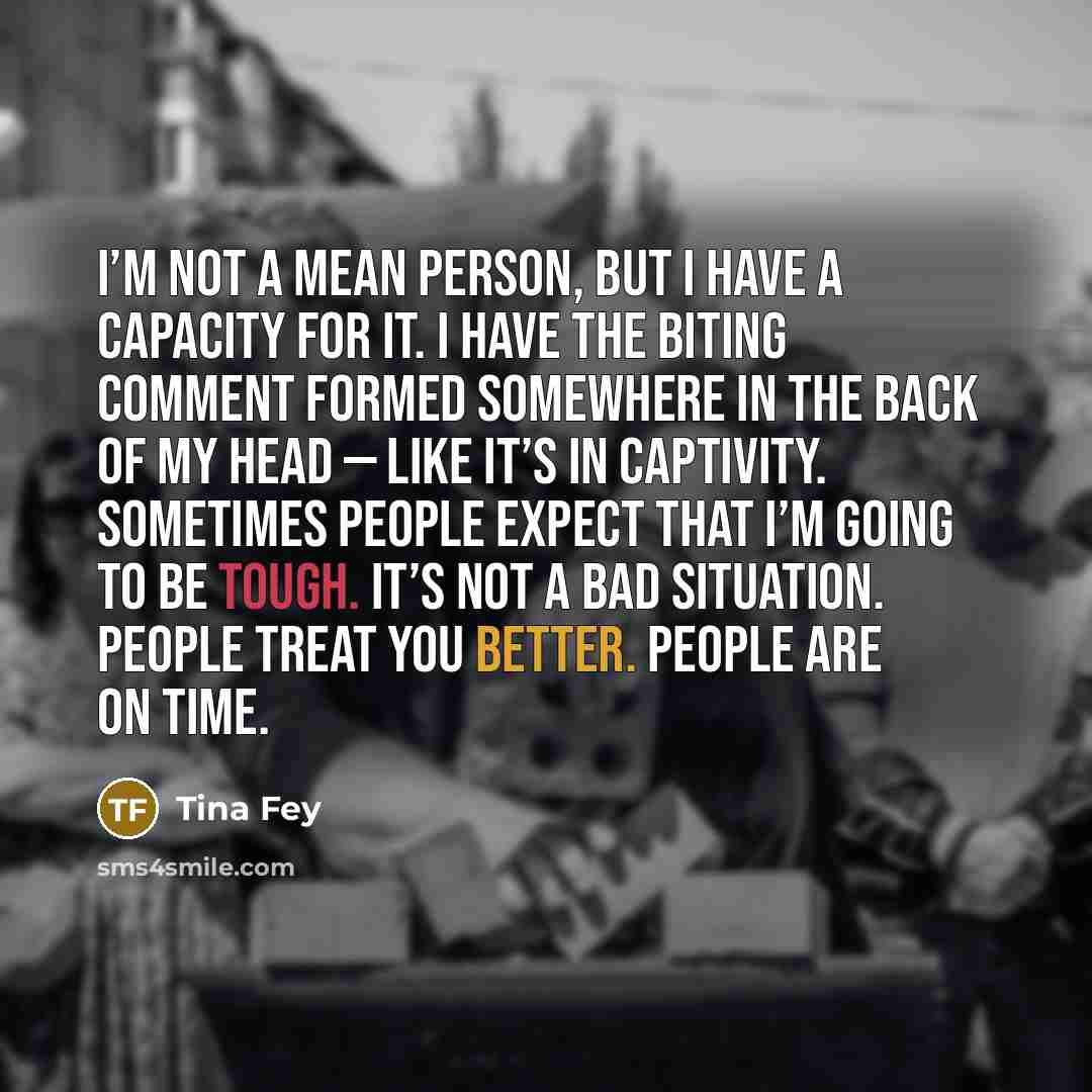 “I’m not a mean person, but I have a capacity…” quote by Tina Fey