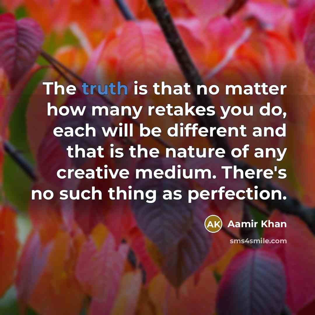 “The truth is that no matter how many retakes you…” quote by Aamir Khan