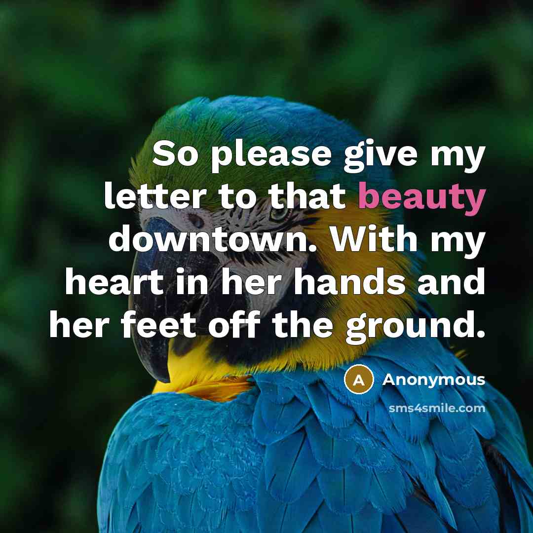 “So please give my letter to that beauty downtown. With my heart in her hands and her feet off the ground.” quote by Anonymous
