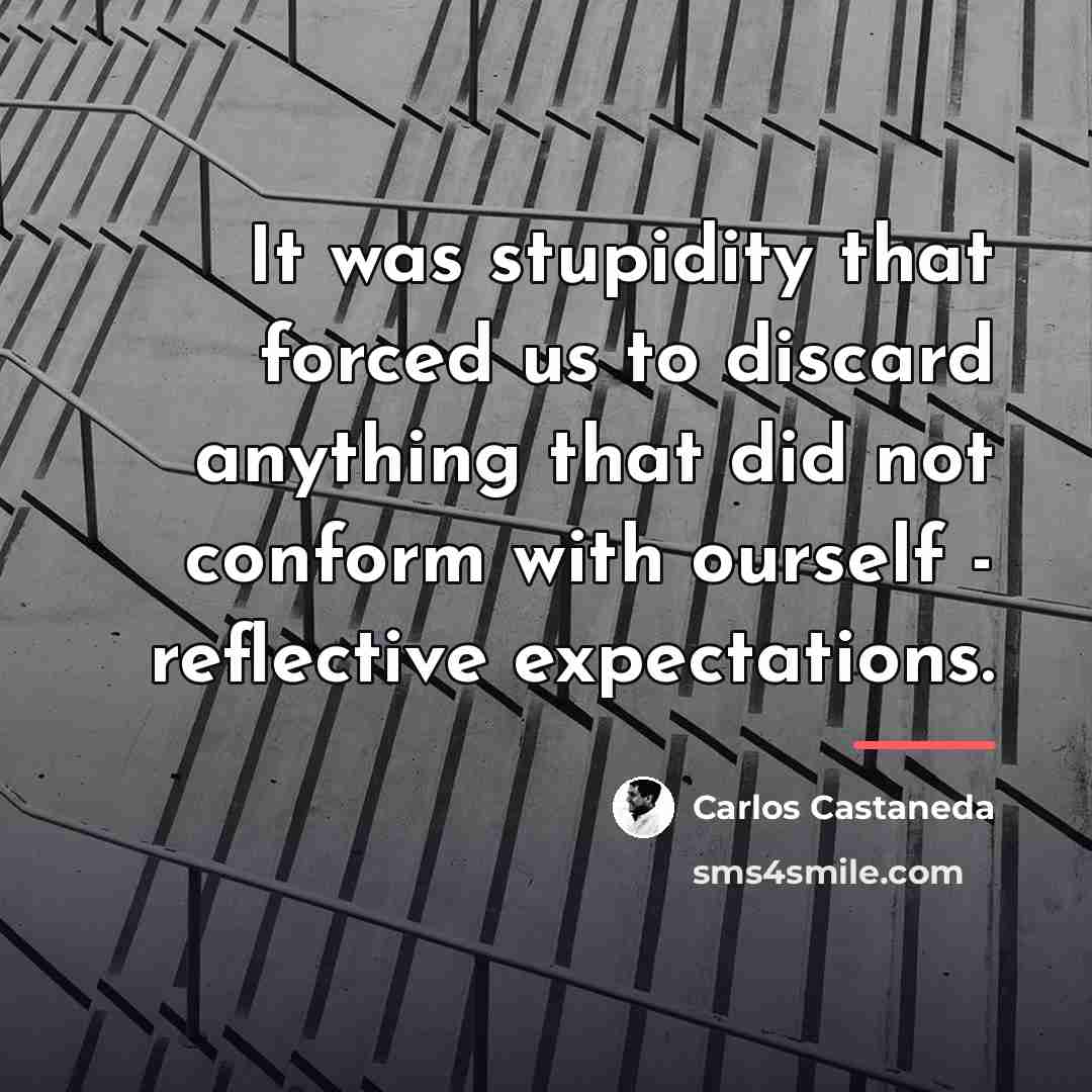 “It was stupidity that forced us to discard anything that…” quote by Carlos Castaneda
