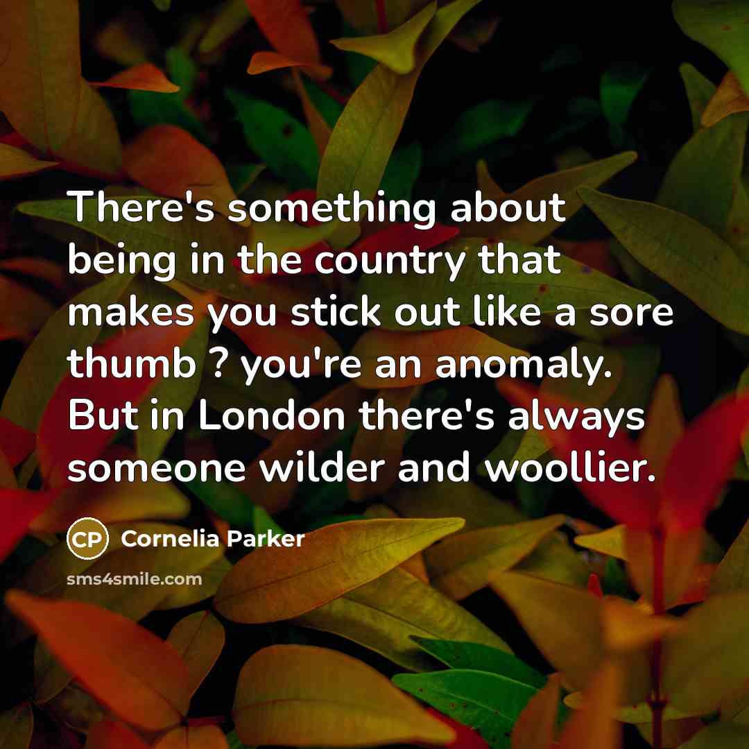 “There's something about being in the country that makes you…” quote by Cornelia Parker