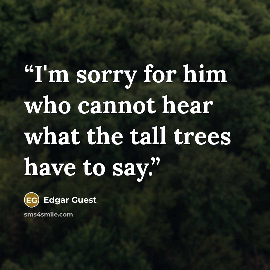 “I'm sorry for him who cannot hear what the tall trees have to say.” quote by Edgar Guest