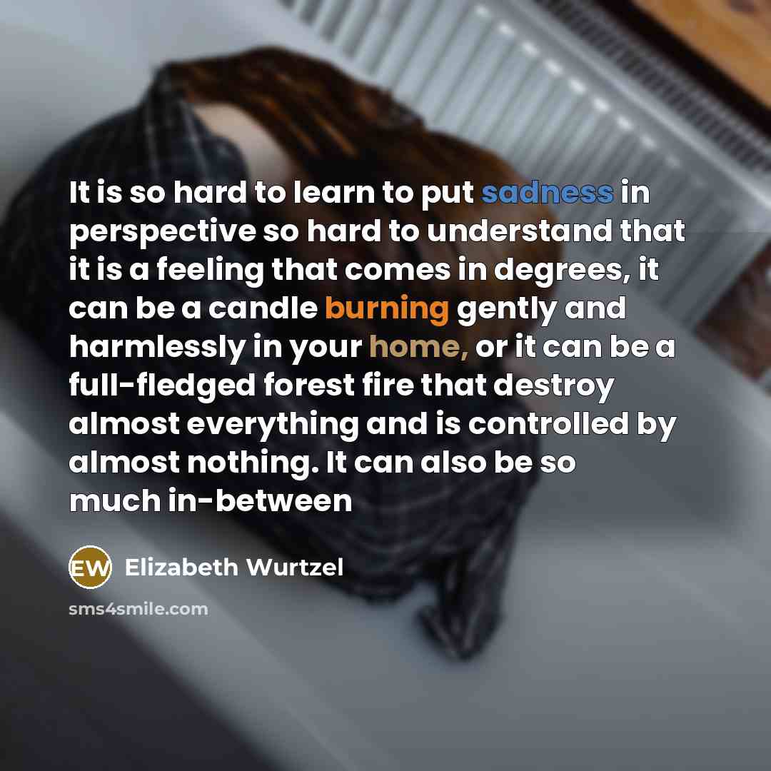 “It is so hard to learn to put sadness in…” quote by Elizabeth Wurtzel