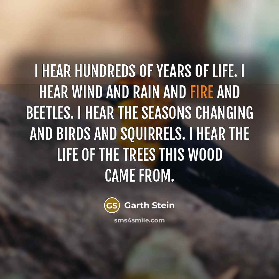 “I hear hundreds of years of life. I hear wind…” quote by Garth Stein