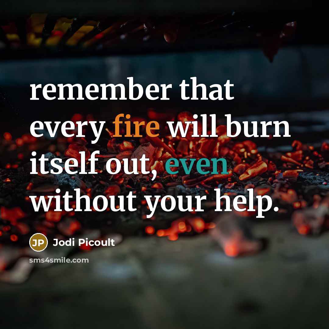 “remember that every fire will burn itself out, even without your help.” quote by Jodi Picoult