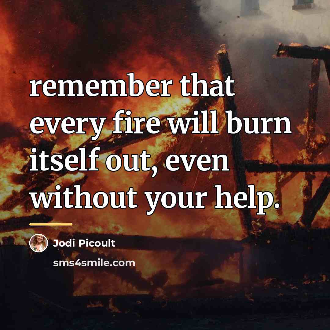 “remember that every fire will burn itself out, even without…” quote by Jodi Picoult