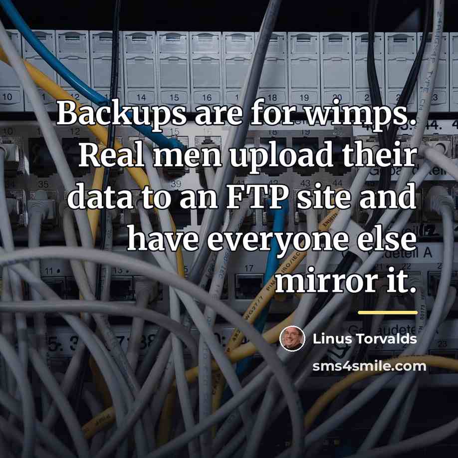 “Backups are for wimps. Real men upload their data to…” quote by Linus Torvalds