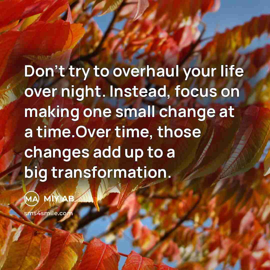 “Don't try to overhaul your life over night. Instead, focus…” quote by MlY AB