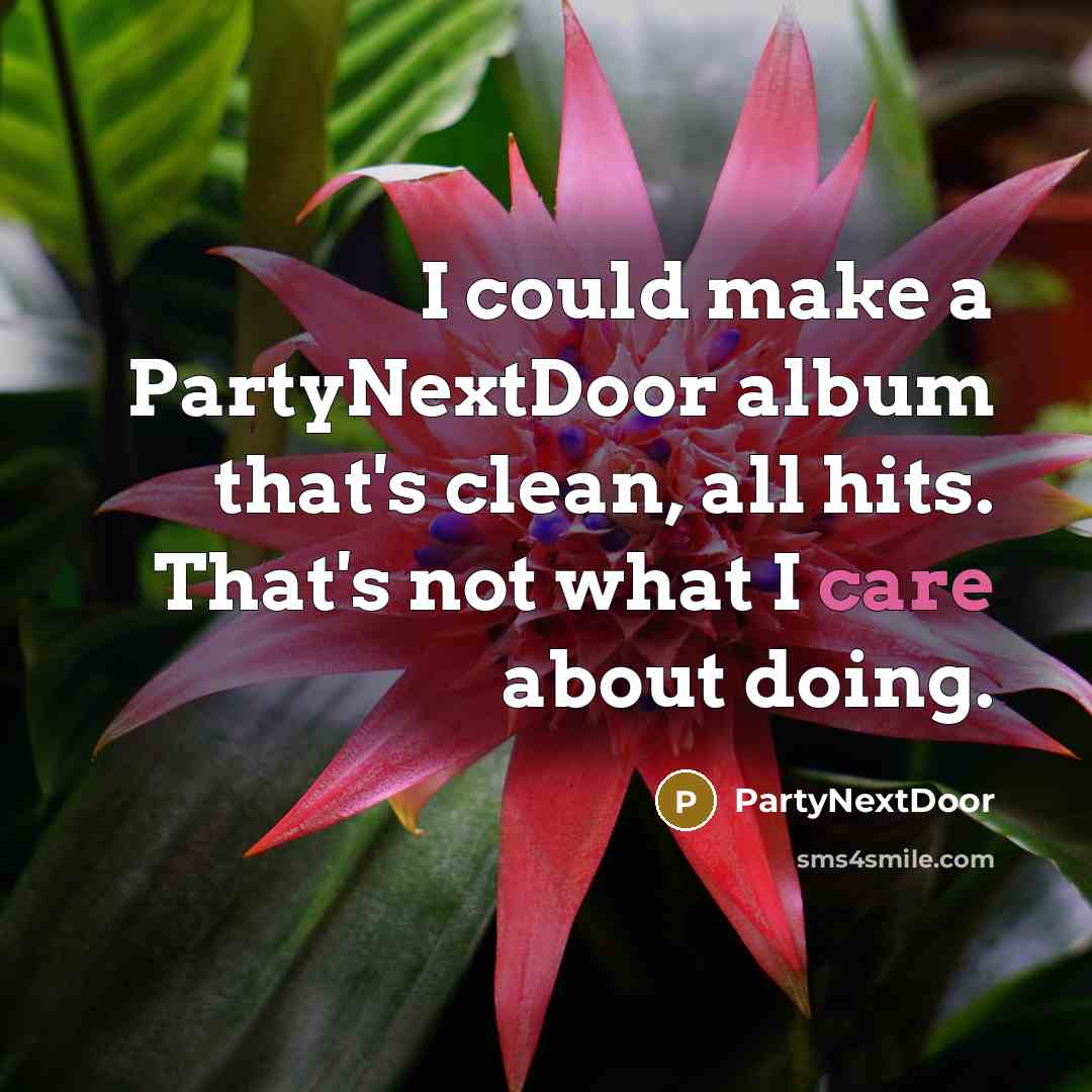 “I could make a PartyNextDoor album that's clean, all hits.…” quote by PartyNextDoor