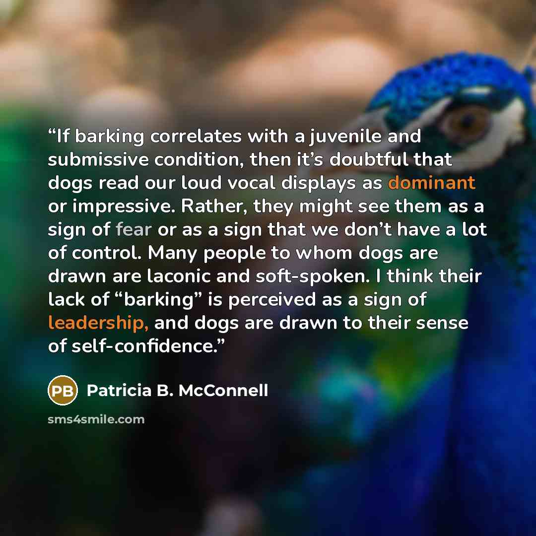 “If barking correlates with a juvenile and submissive condition, then it’s doubtful that dogs read our loud vocal displays as dominant or impressive. Rather, they might see them as a sign of fear or as a sign that we don’t have a lot of control. Many people to whom dogs are drawn are laconic and…” quote by Patricia B. McConnell