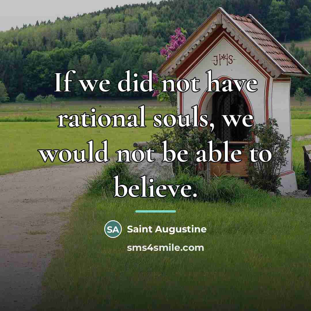 “If we did not have rational souls, we would not…” quote by Saint Augustine