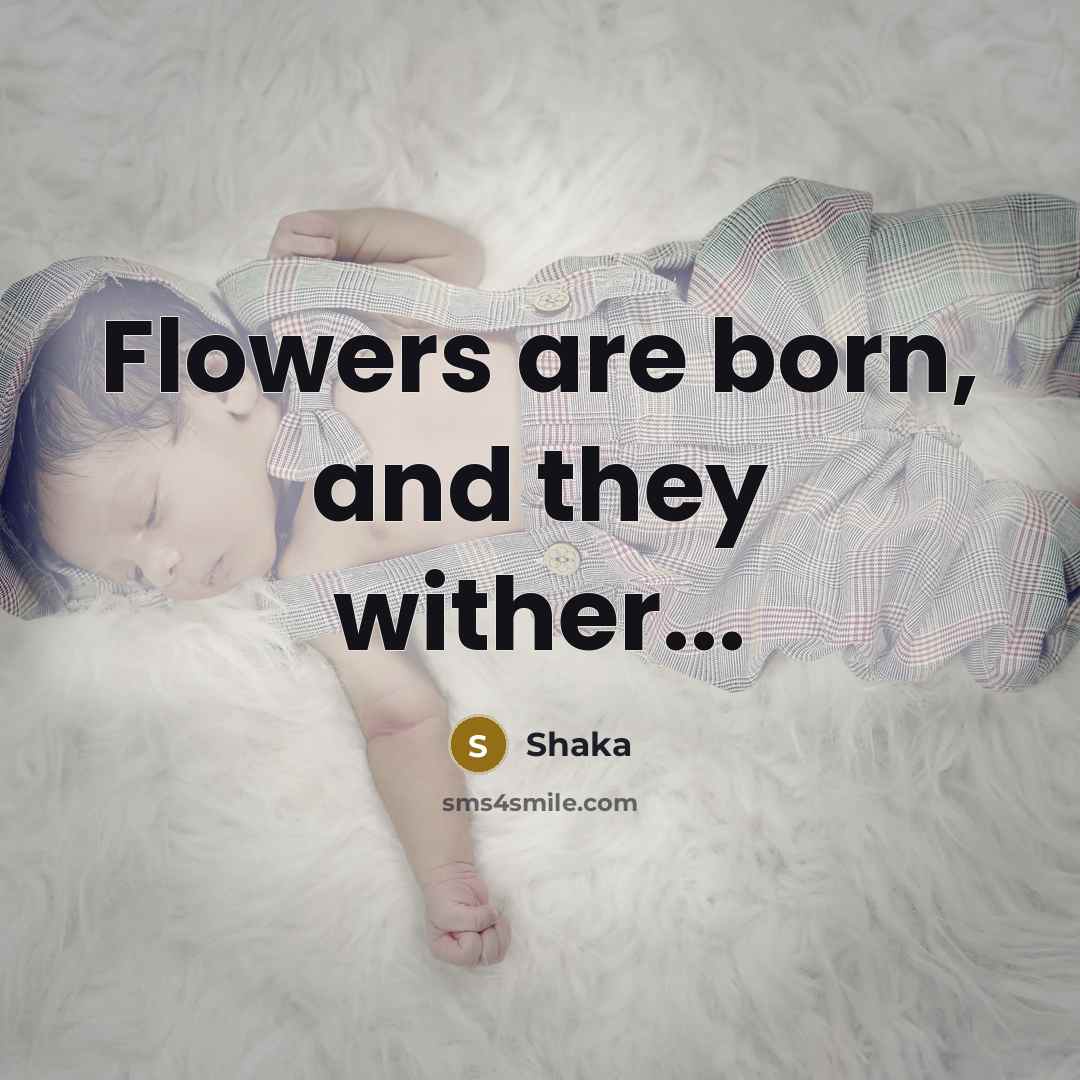 “Flowers are born, and they wither...…” quote by Shaka