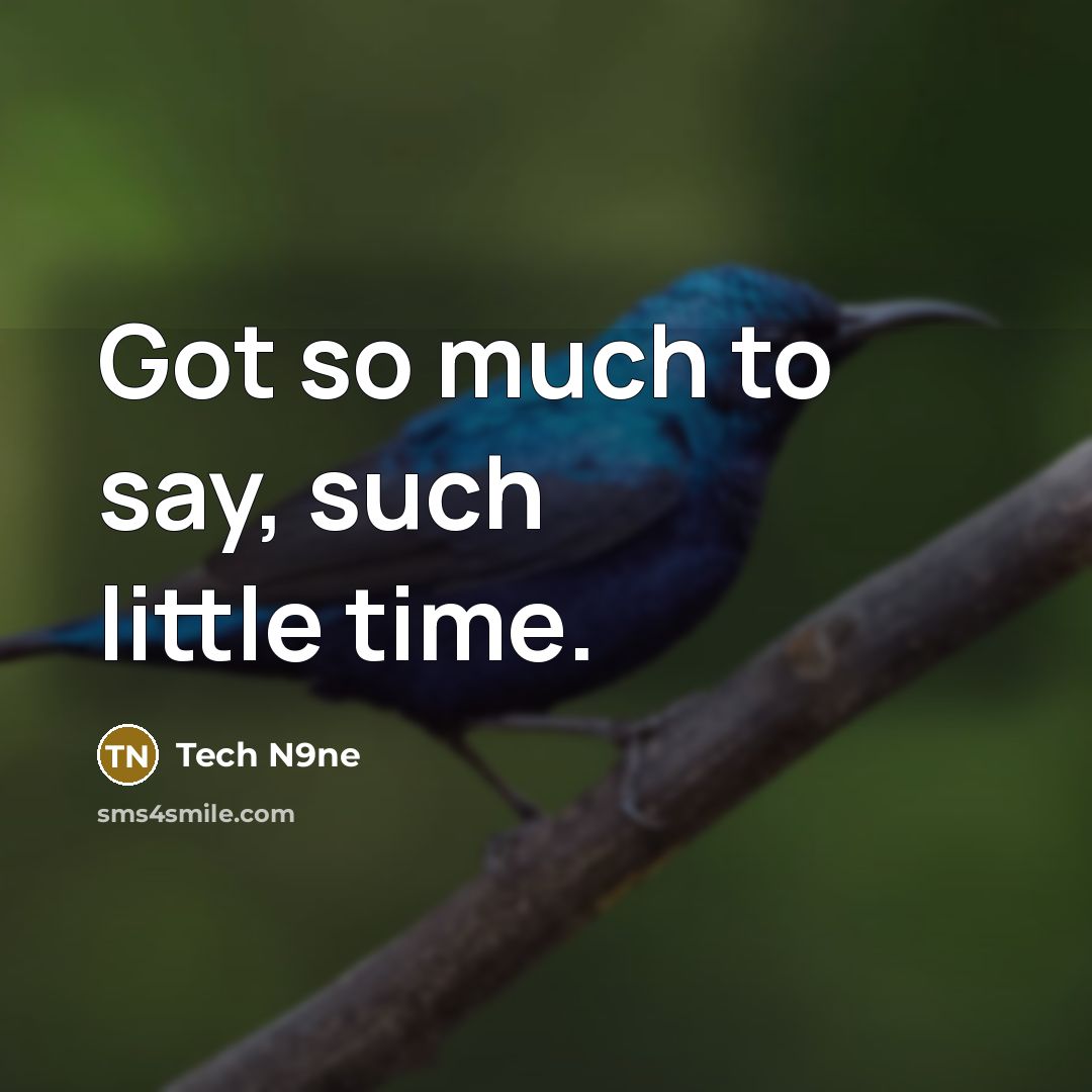 “Got so much to say, such little time.…” quote by Tech N9ne