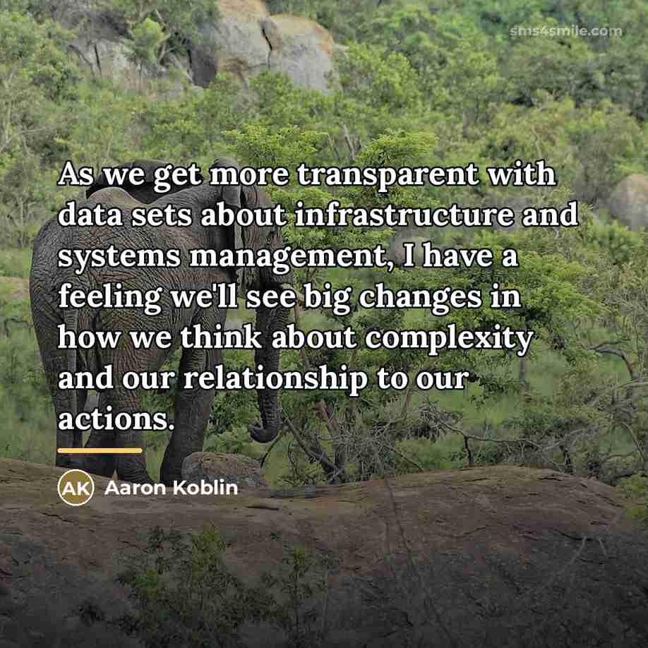 “As we get more transparent with data sets about infrastructure…” quote by Aaron Koblin