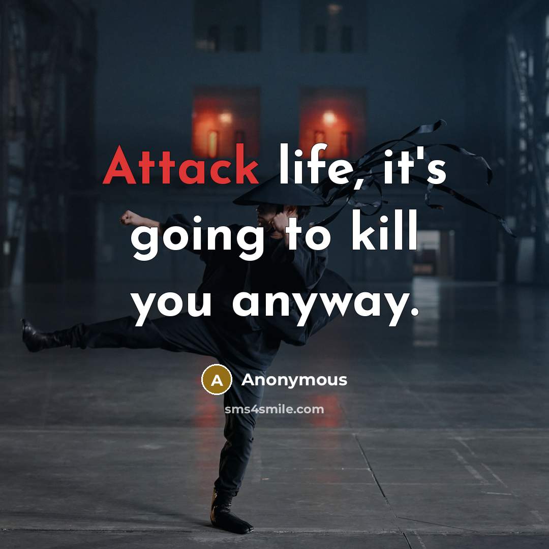 “Attack life, it's going to kill you anyway.…” quote by Anonymous