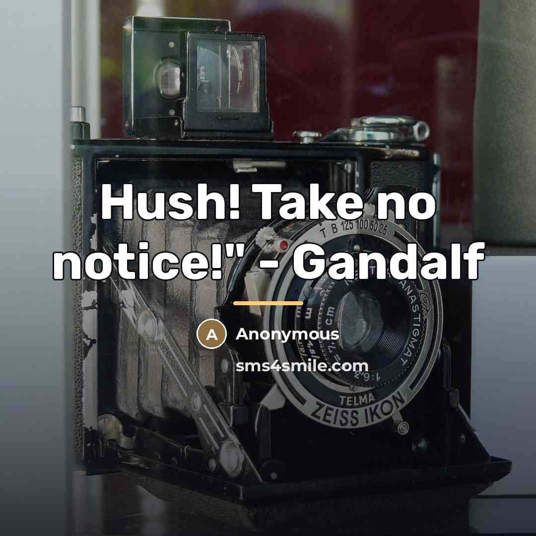 “Hush! Take no notice!" - Gandalf…” quote by Anonymous