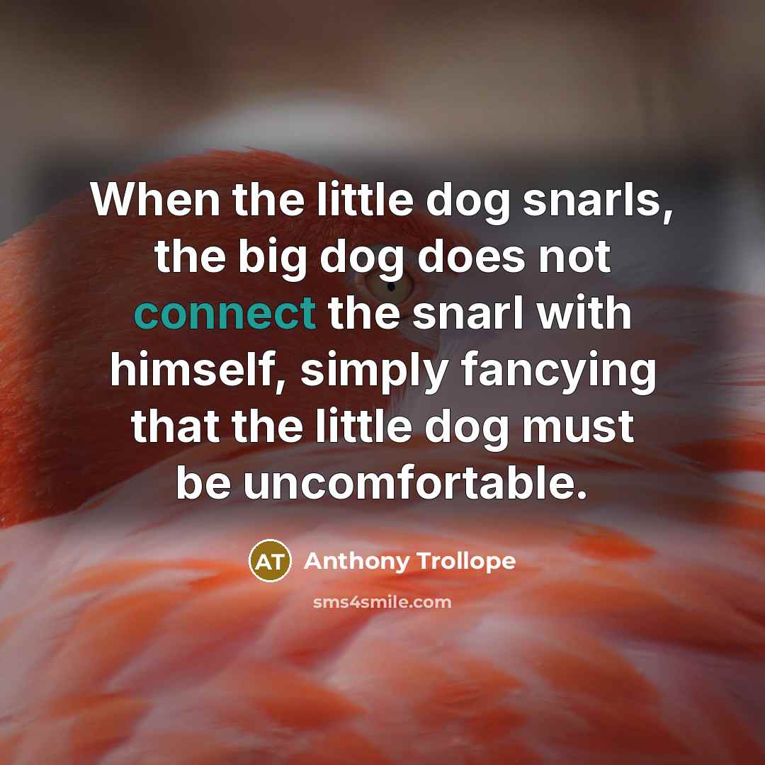 “When the little dog snarls, the big dog does not connect the snarl with himself, simply fancying that the little dog must be uncomfortable.” quote by Anthony Trollope