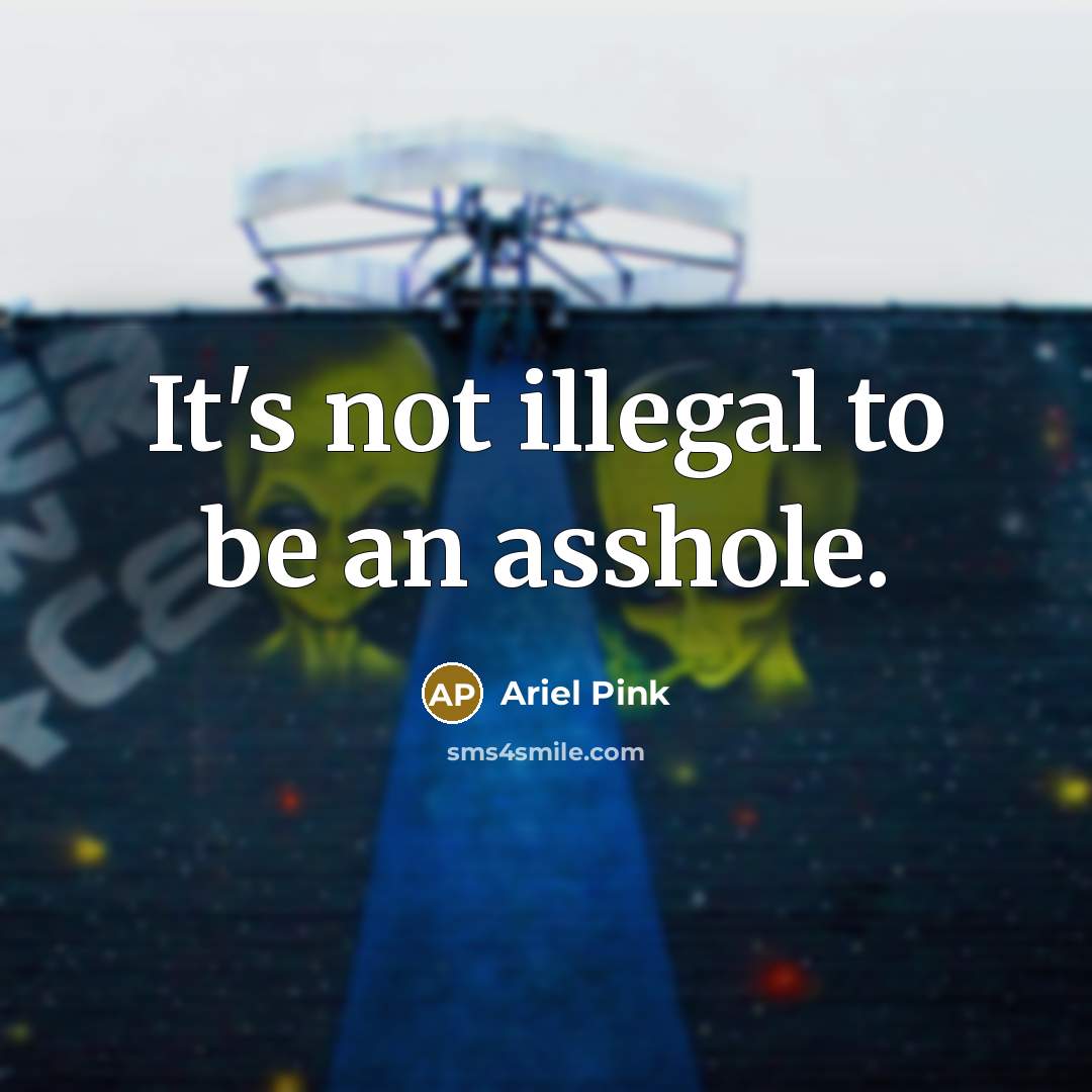 “It's not illegal to be an asshole.…” quote by Ariel Pink