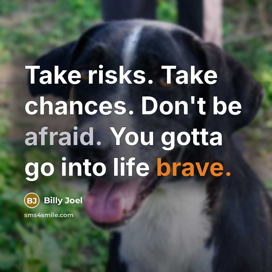 “Take risks. Take chances. Don't be afraid. You gotta go into life brave.” quote by Billy Joel