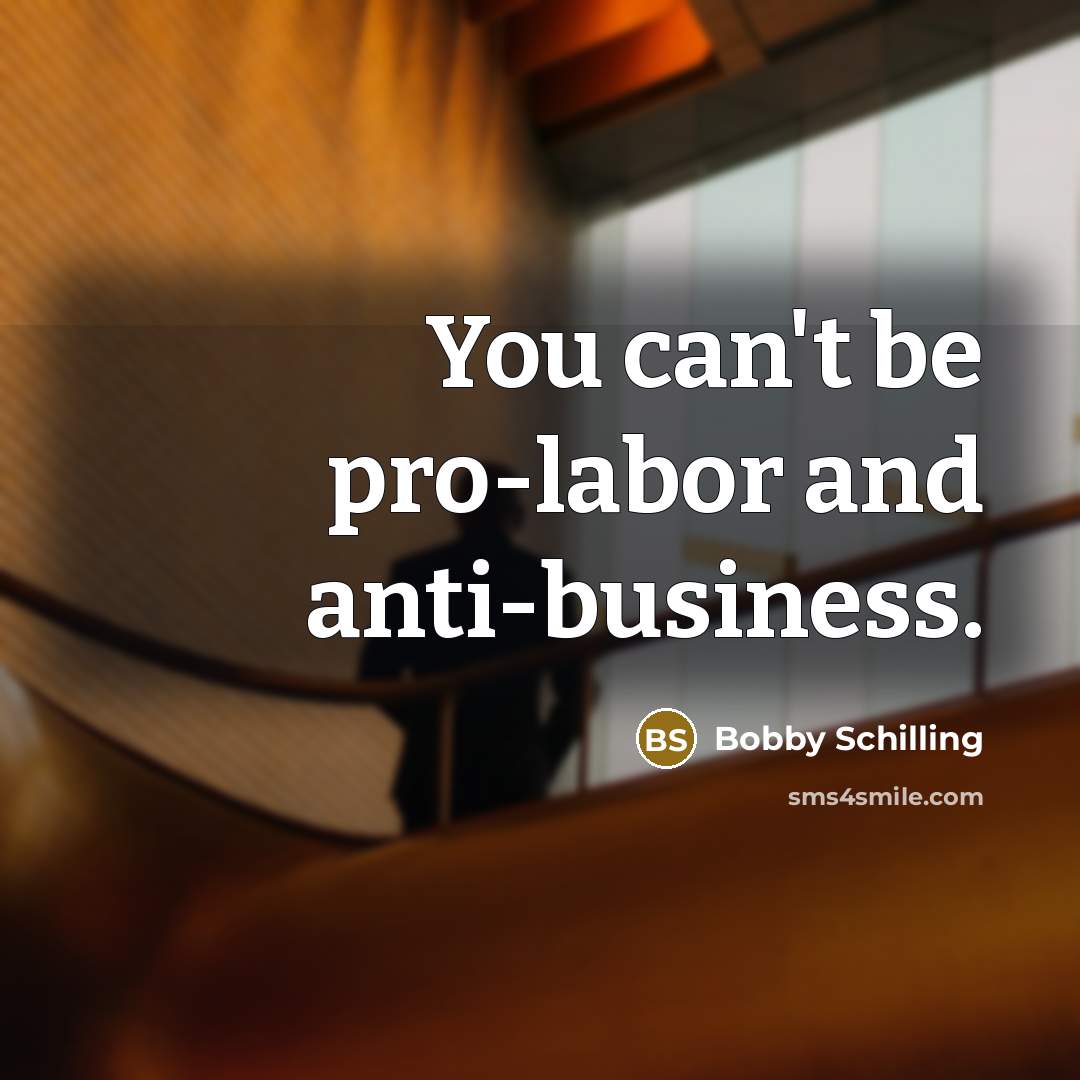 “You can't be pro-labor and anti-business.…” quote by Bobby Schilling