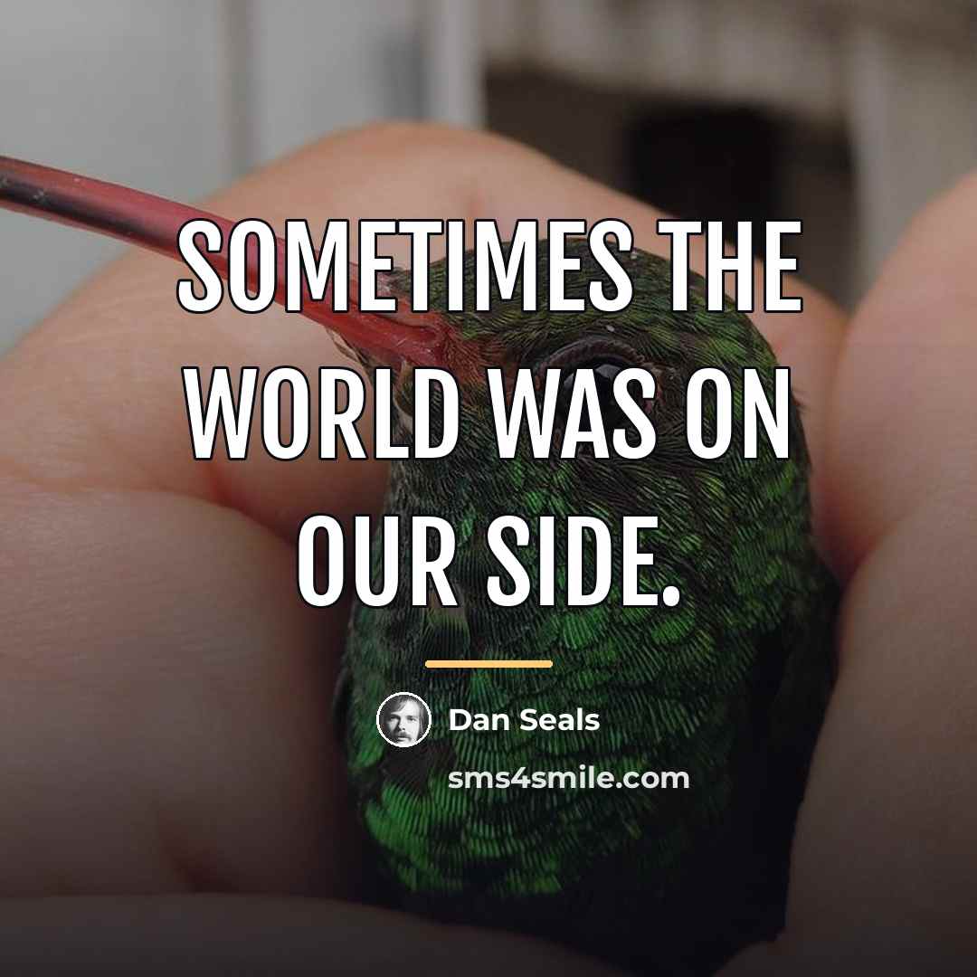 “Sometimes the world was on our side.…” quote by Dan Seals