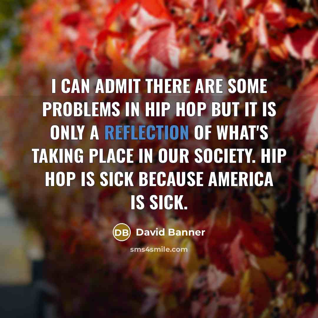 “I can admit there are some problems in hip hop…” quote by David Banner