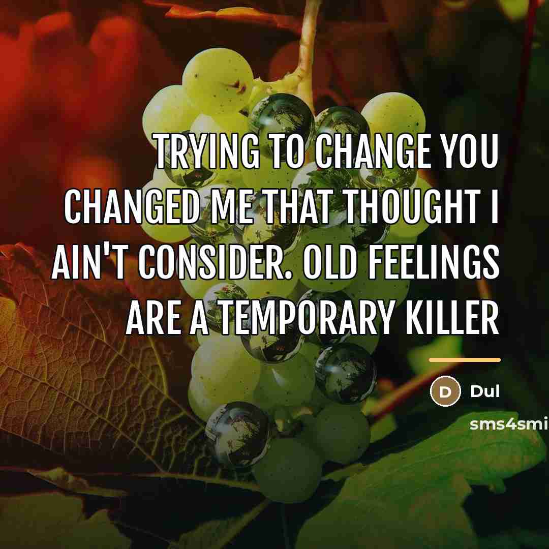 “Trying to change you changed me that thought I ain't…” quote by Dul