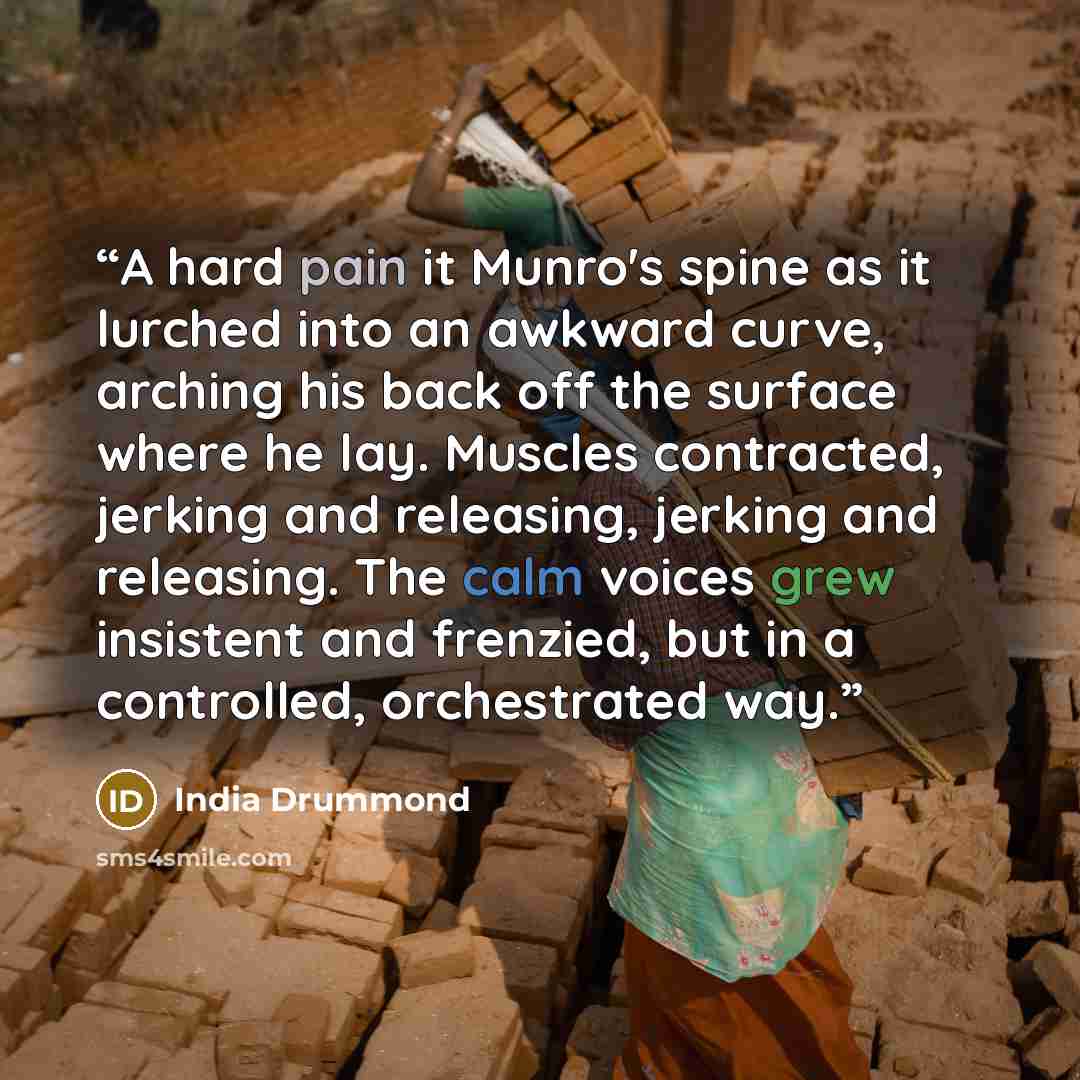 “A hard pain it Munro's spine as it lurched into an awkward curve, arching his back off the surface where he lay. Muscles contracted, jerking and releasing, jerking and releasing. The calm voices grew insistent and frenzied, but in a controlled, orchestrated way.” quote by India Drummond