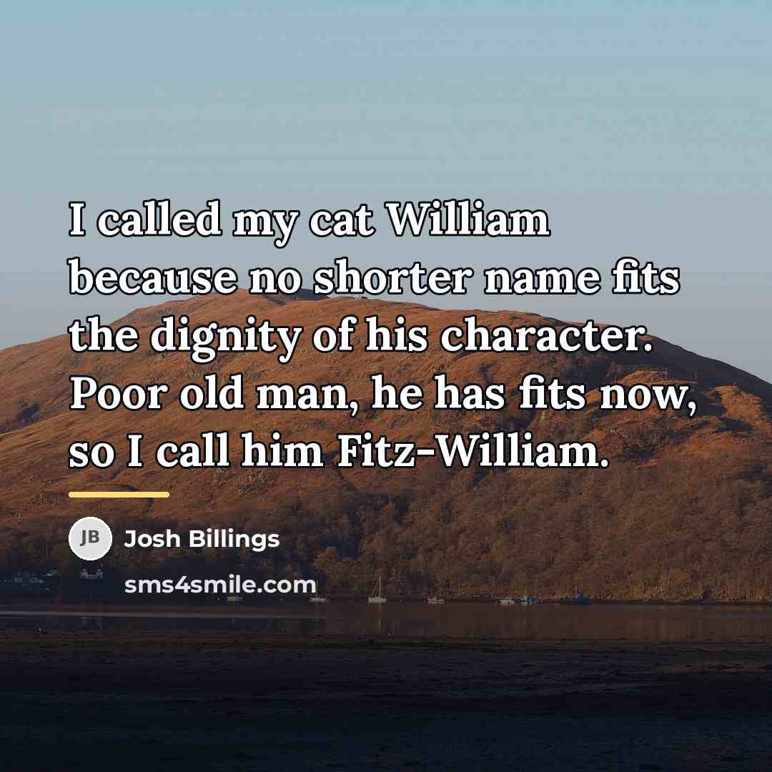 “I called my cat William because no shorter name fits…” quote by Josh Billings