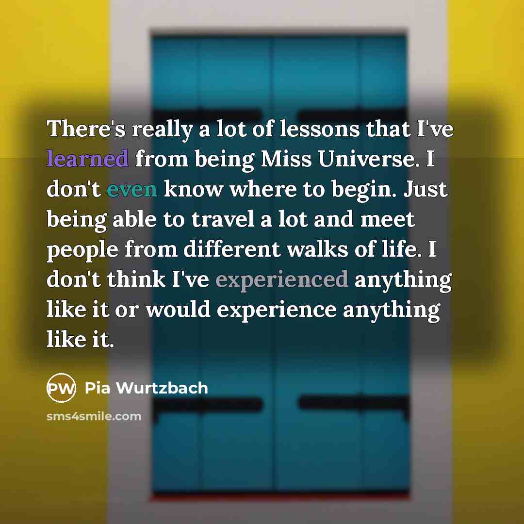 “There's really a lot of lessons that I've learned from…” quote by Pia Wurtzbach