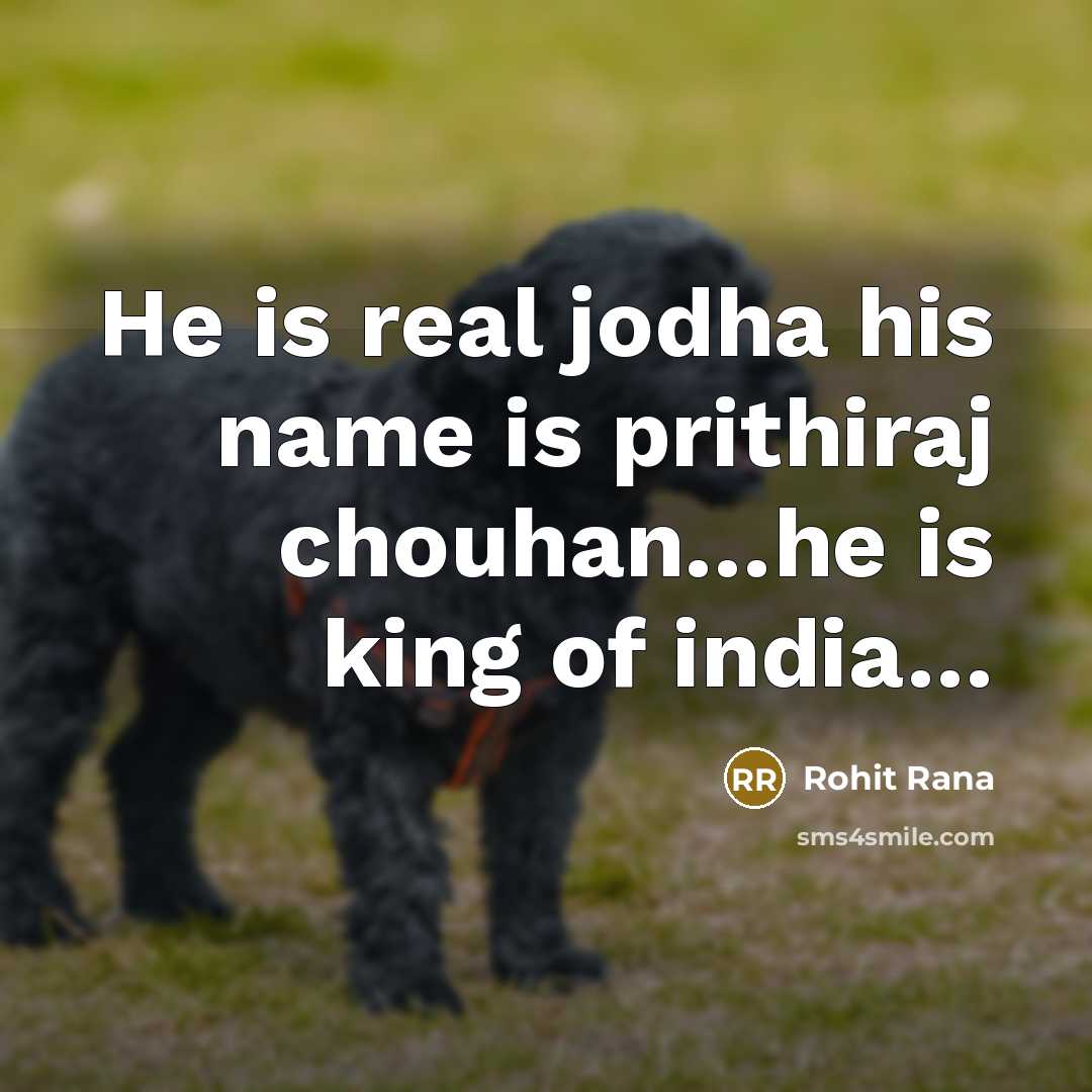 “He is real jodha his name is prithiraj chouhan......he is…” quote by Rohit Rana