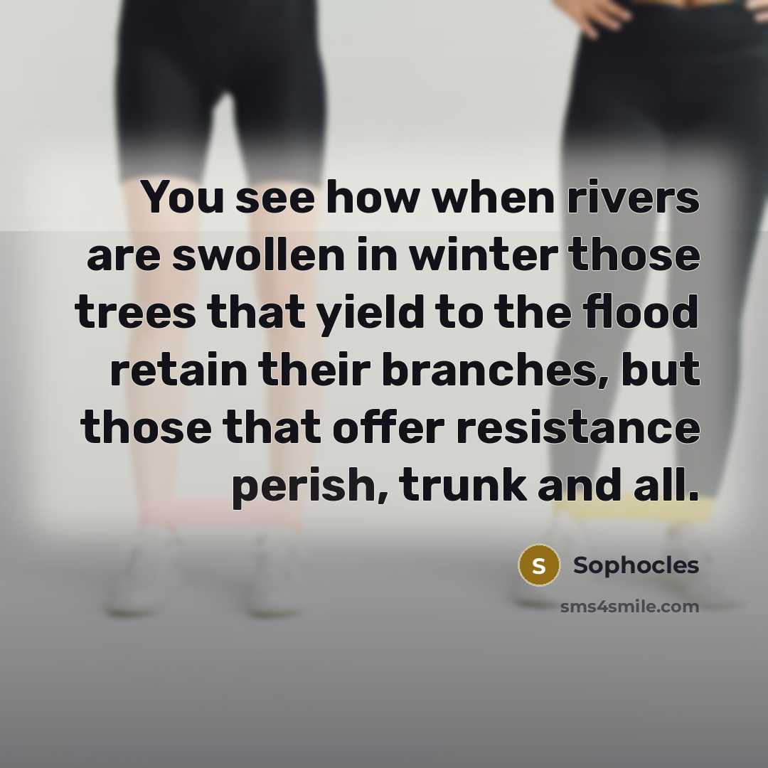 “You see how when rivers are swollen in winter those…” quote by Sophocles