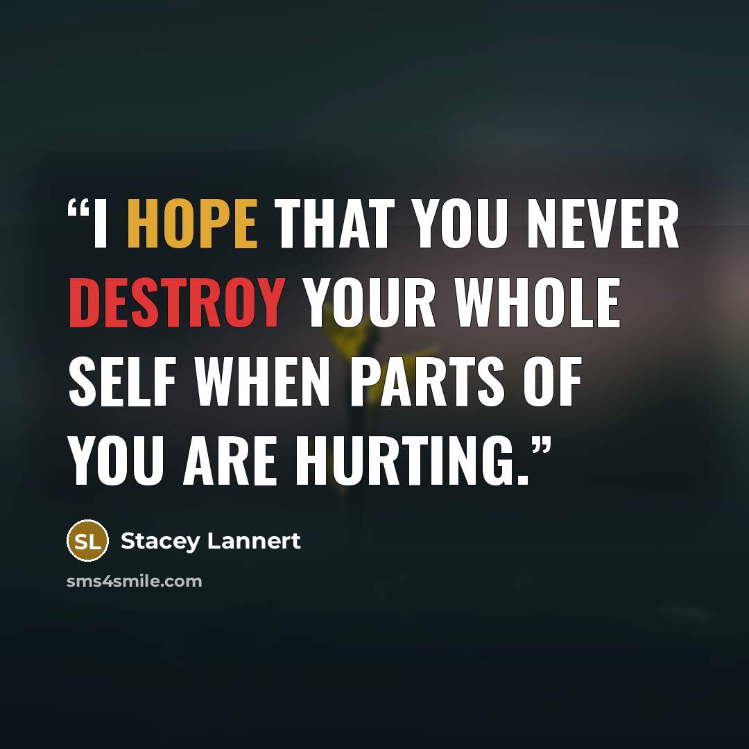 “I hope that you never destroy your whole self when parts of you are hurting.” quote by Stacey Lannert