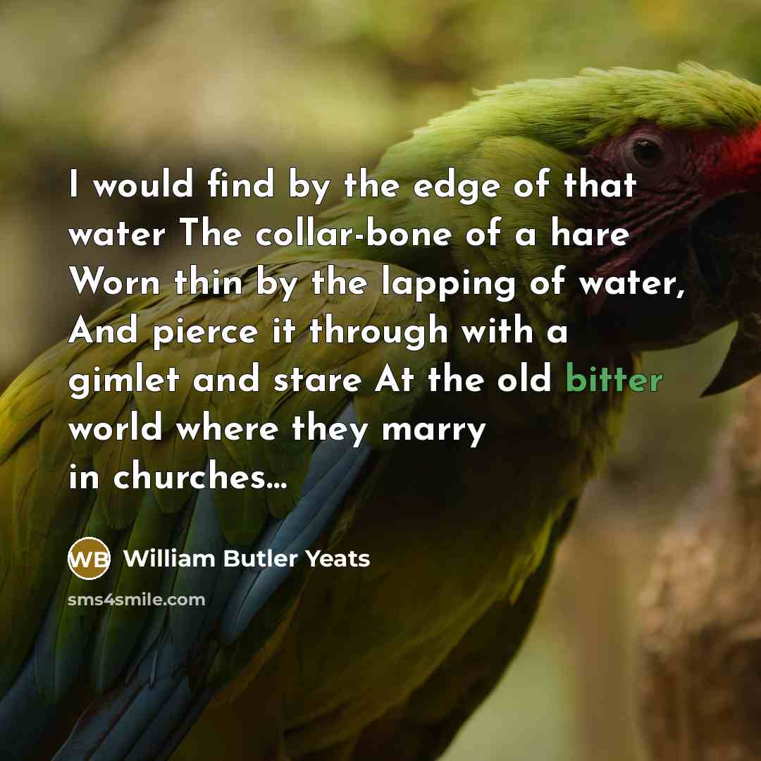 “I would find by the edge of that water The…” quote by William Butler Yeats