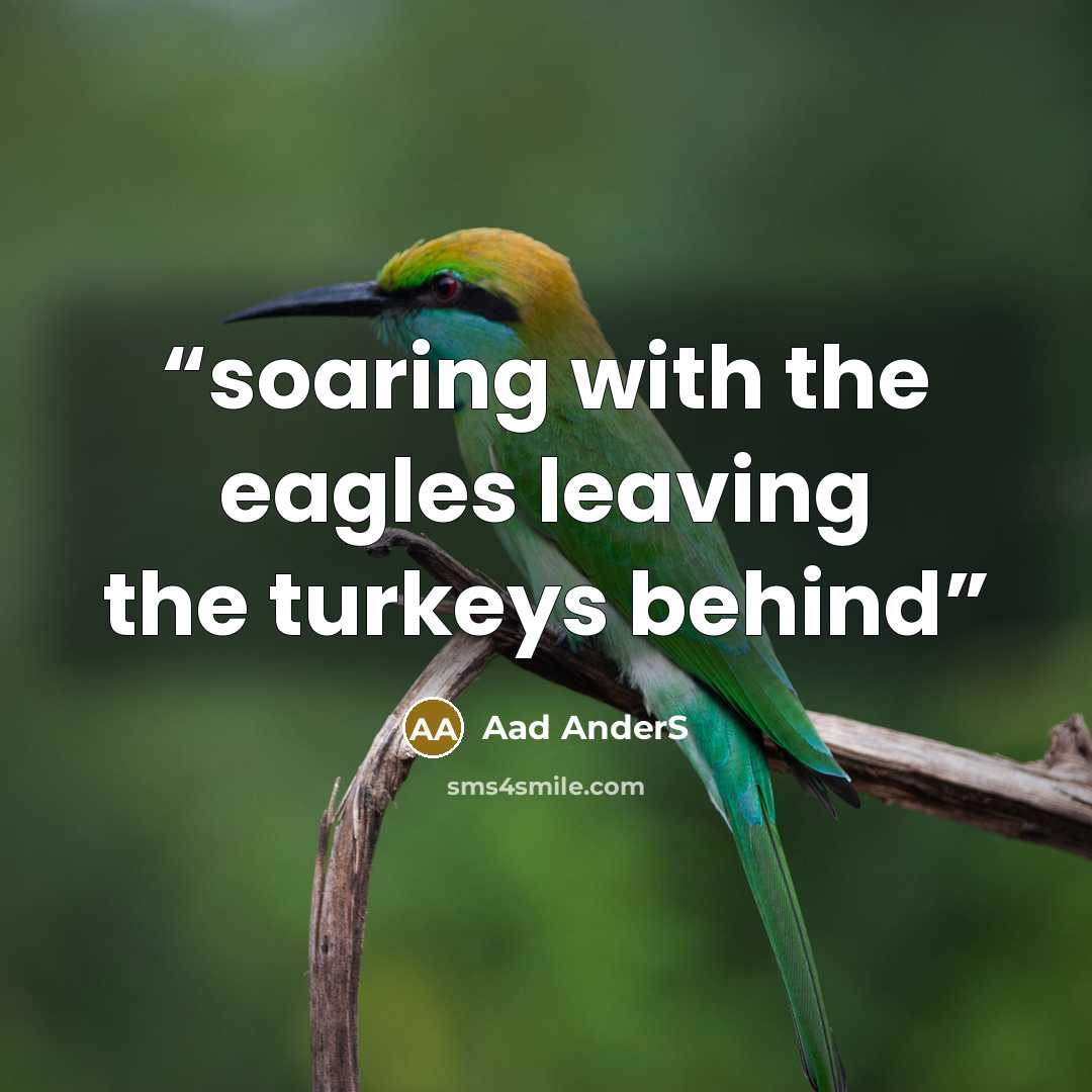 “soaring with the eagles leaving the turkeys behind” quote by Aad AnderS