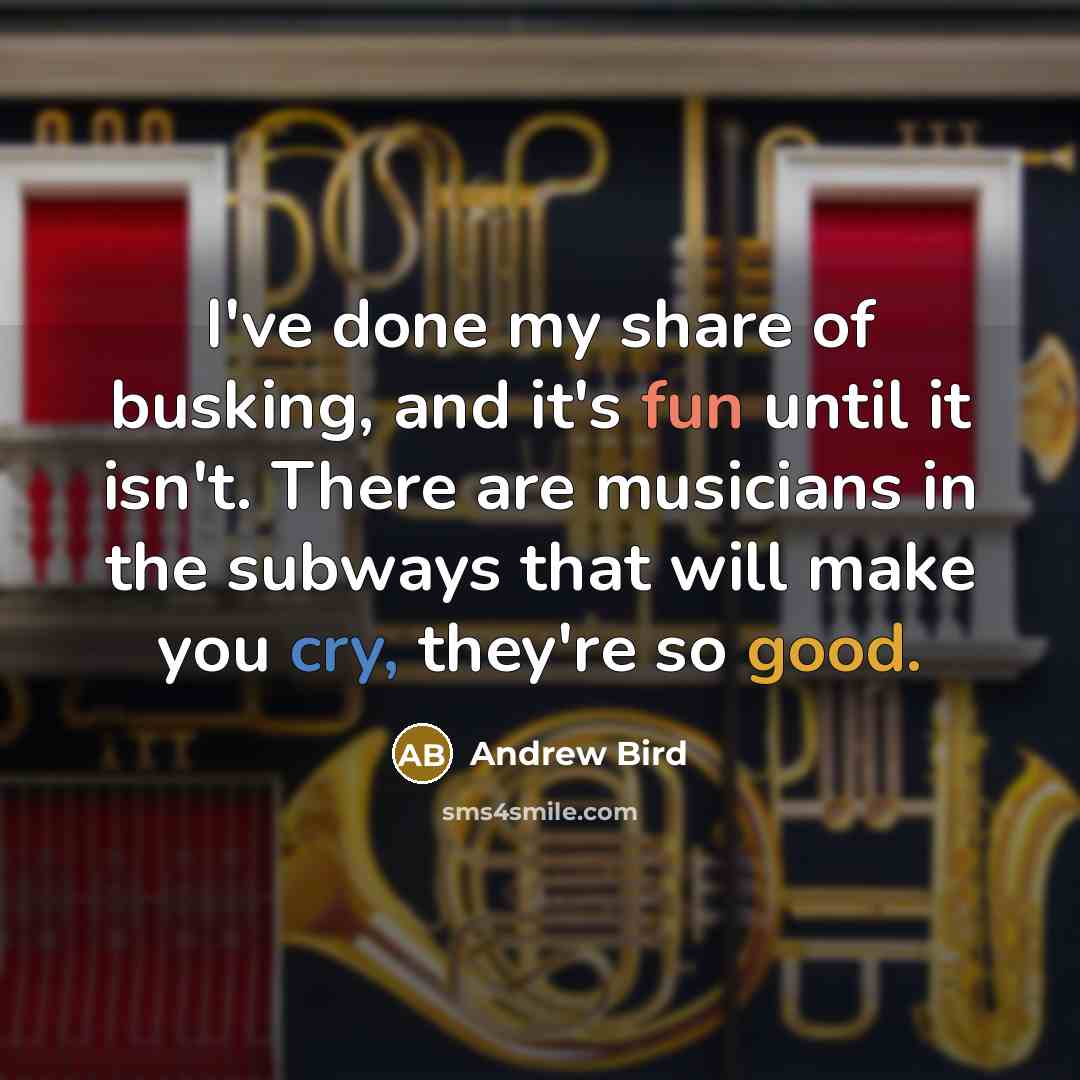 “I've done my share of busking, and it's fun until it isn't. There are musicians in the subways that will make you cry, they're so good.” quote by Andrew Bird