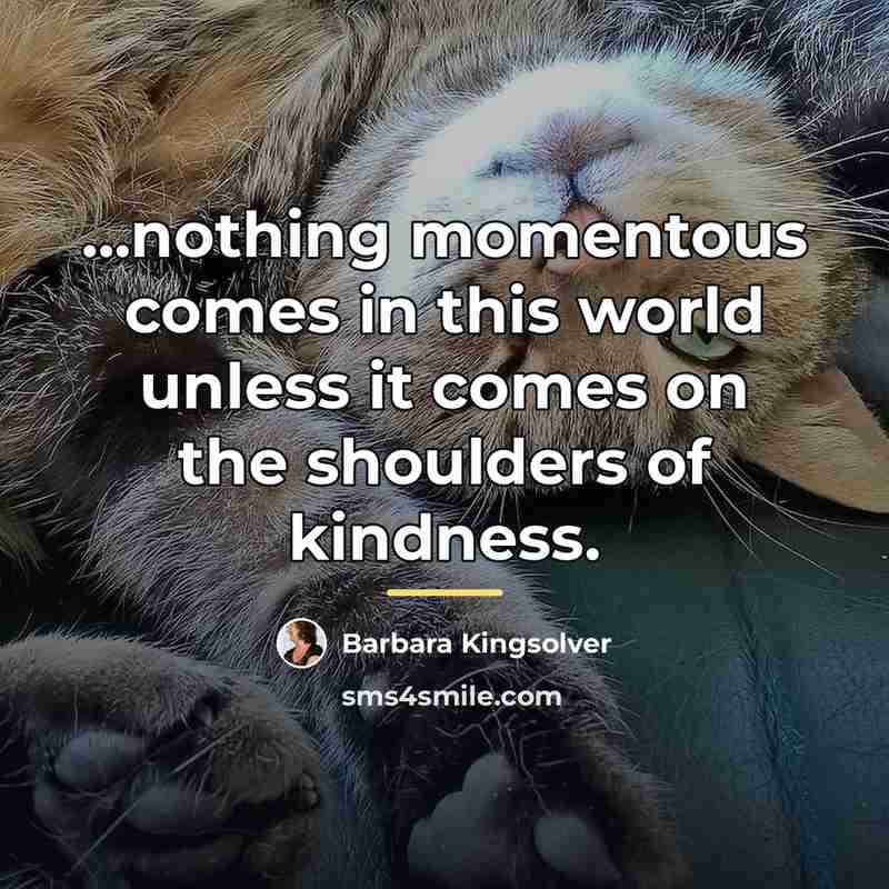 “...nothing momentous comes in this world unless it comes on…” quote by Barbara Kingsolver