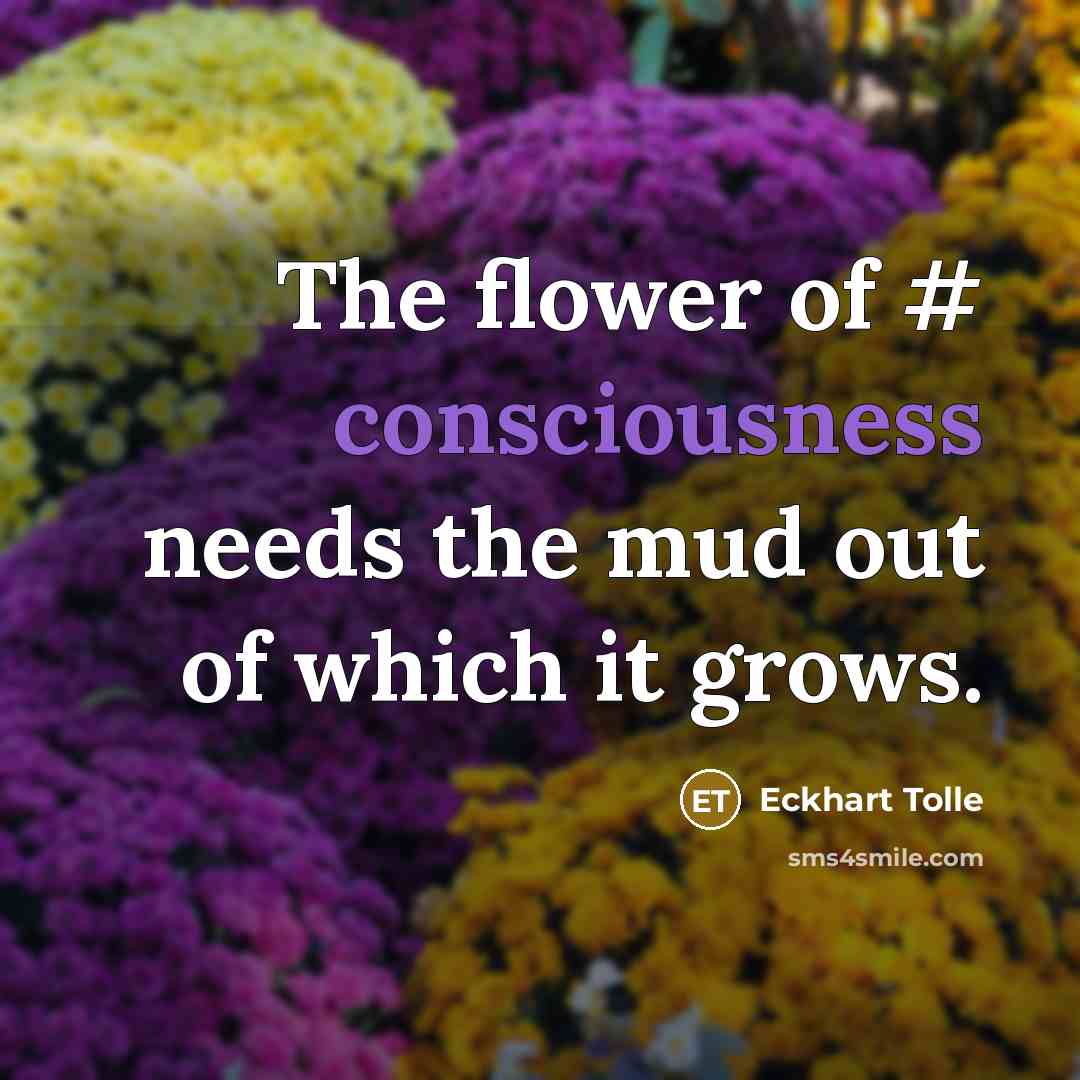 “The flower of # consciousness needs the mud out of…” quote by Eckhart Tolle