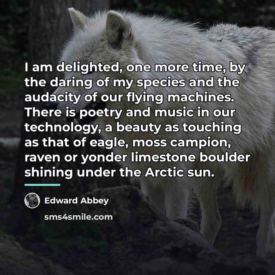 “I am delighted, one more time, by the daring of…” quote by Edward Abbey