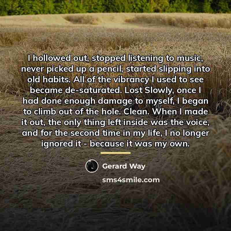 “I hollowed out, stopped listening to music, never picked up…” quote by Gerard Way