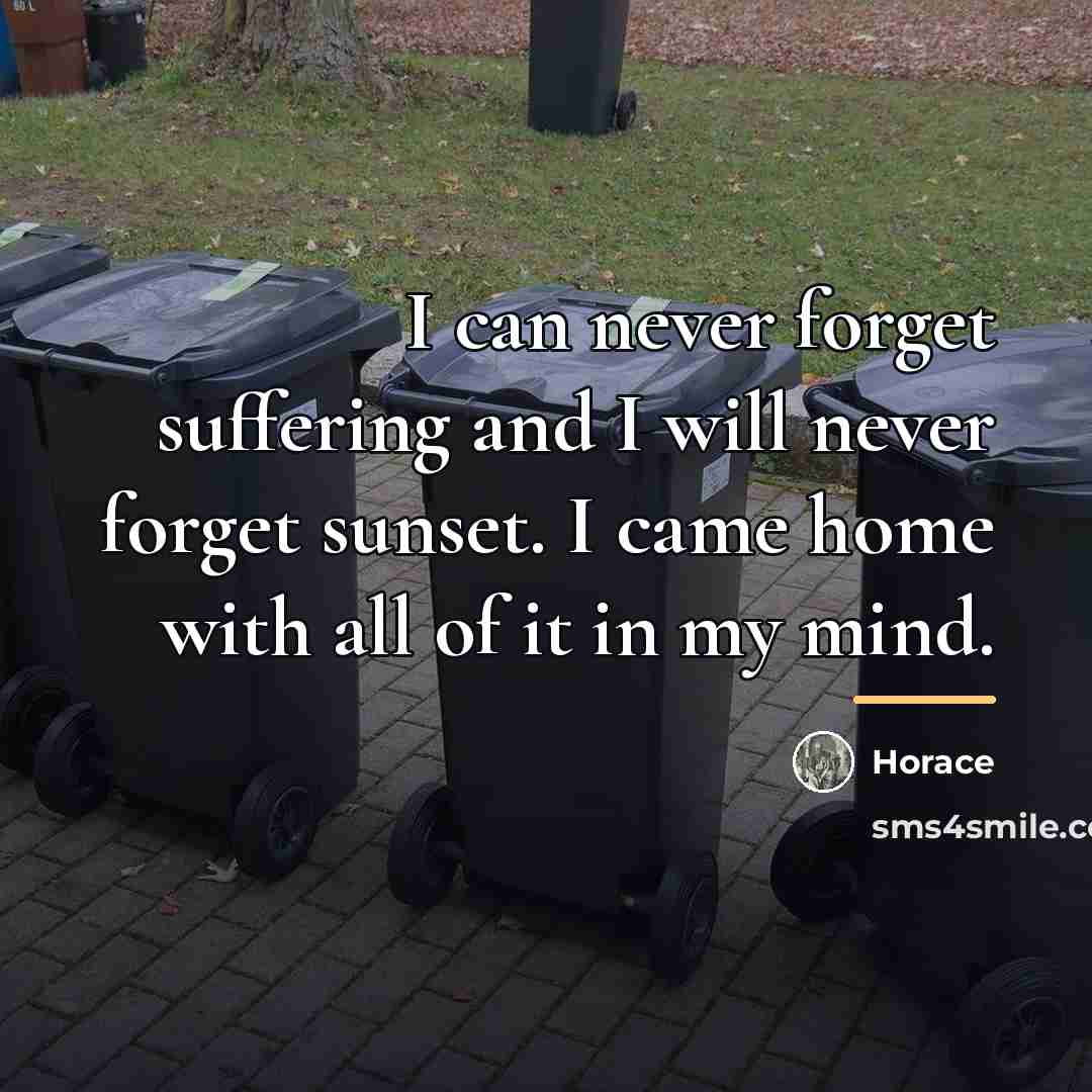 “I can never forget suffering and I will never forget…” quote by Horace