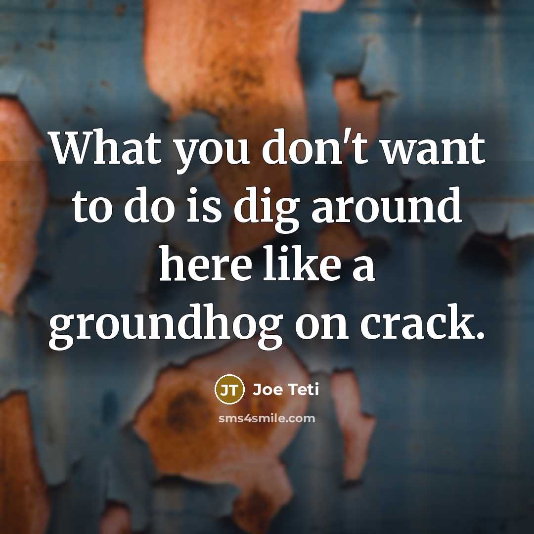 “What you don't want to do is dig around here…” quote by Joe Teti
