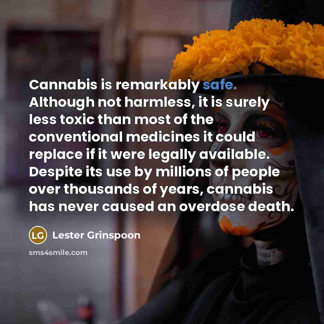 “Cannabis is remarkably safe. Although not harmless, it is surely…” quote by Lester Grinspoon