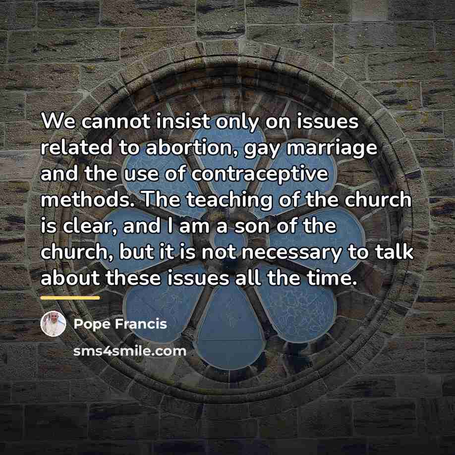 “We cannot insist only on issues related to abortion, gay…” quote by Pope Francis