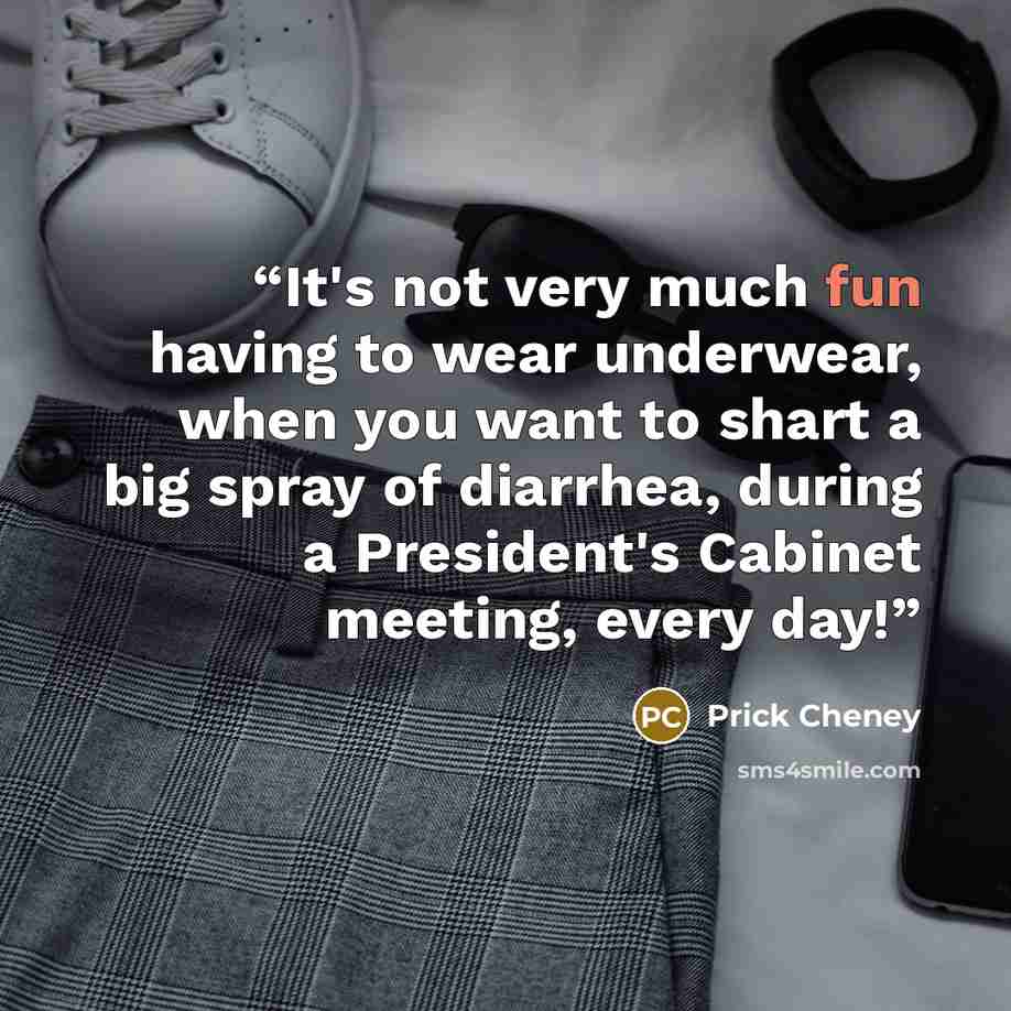 “It's not very much fun having to wear underwear, when you want to shart a big spray of diarrhea, during a President's Cabinet meeting, every day!” quote by Prick Cheney